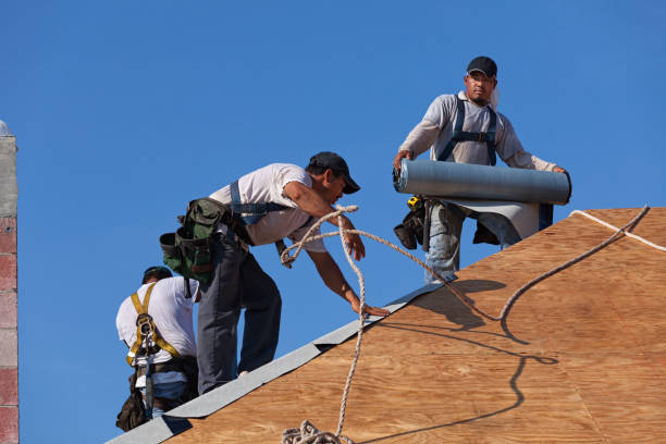 Best Gutter Installation and Roofing  in Metter, GA